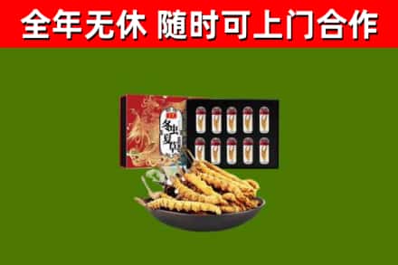 合浦烟酒回收冬虫夏草礼盒.jpg