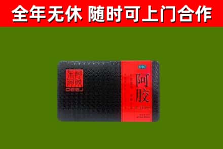 合浦回收阿胶